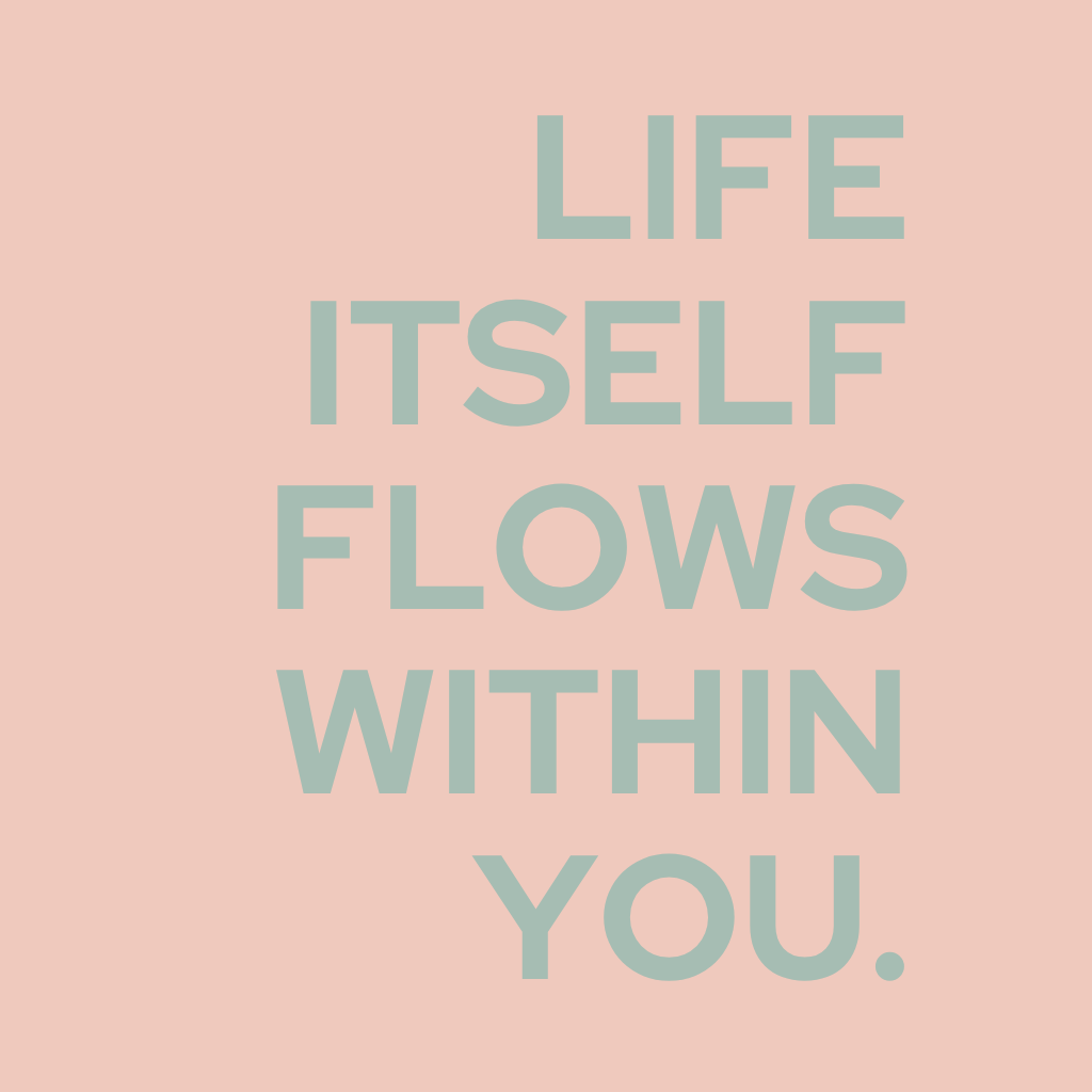 english Human Design Guide: How to make decisions YOUR GUT RESPONSE for Generators and MGs