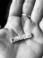 Bloom Wolke, Wanddeko